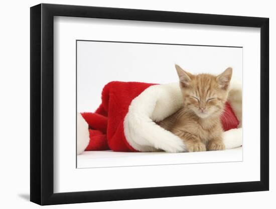 Sleepy Ginger Kitten, 5 Weeks, in a Father Christmas Hat-Mark Taylor-Framed Photographic Print