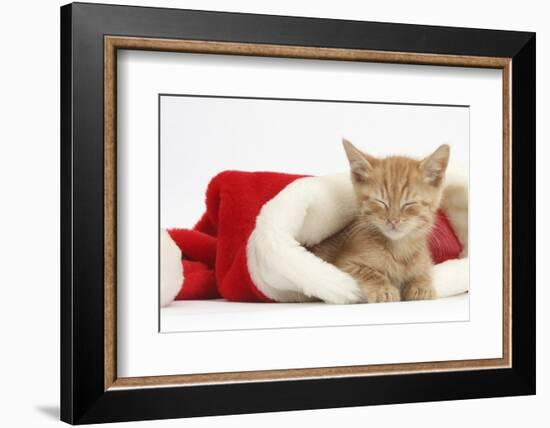 Sleepy Ginger Kitten, 5 Weeks, in a Father Christmas Hat-Mark Taylor-Framed Photographic Print