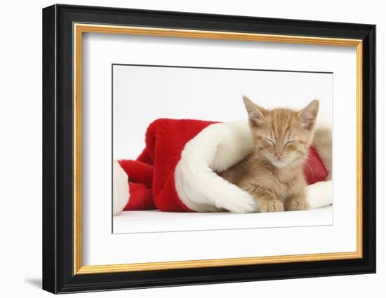 Sleepy Ginger Kitten, 5 Weeks, in a Father Christmas Hat-Mark Taylor-Framed Photographic Print