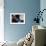 Sleepy Saturday-Pam Ingalls-Framed Giclee Print displayed on a wall
