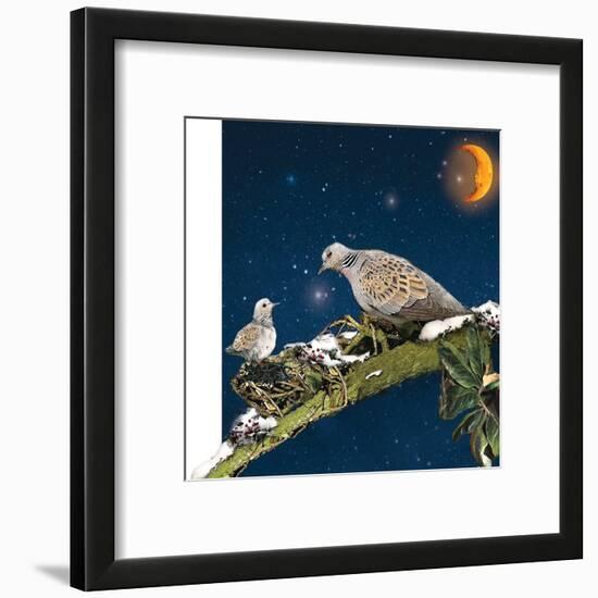 Sleepy Turtledove-Nancy Tillman-Framed Art Print