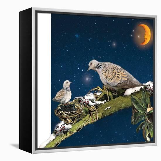 Sleepy Turtledove-Nancy Tillman-Framed Stretched Canvas