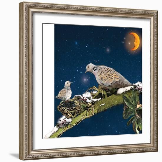 Sleepy Turtledove-Nancy Tillman-Framed Art Print