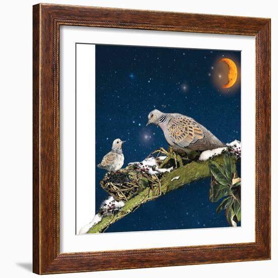 Sleepy Turtledove-Nancy Tillman-Framed Art Print