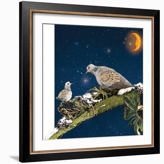 Sleepy Turtledove-Nancy Tillman-Framed Art Print