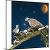 Sleepy Turtledove-Nancy Tillman-Mounted Art Print