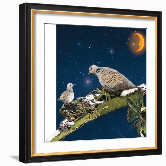 Sleepy Turtledove-Nancy Tillman-Framed Art Print