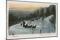 Photographic Print
