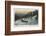 Sleighing at Montreal-null-Framed Photographic Print