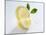 Slice and Wedge of Lemon-Karl Newedel-Mounted Photographic Print