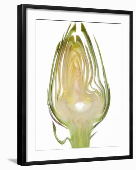 Slice of Artichoke on White Background-null-Framed Photographic Print