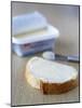 Slice of Buttered Bread-Veronique Leplat-Mounted Photographic Print