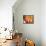 Slice of Grapefruit-null-Framed Premier Image Canvas displayed on a wall