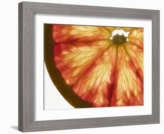 Slice of Grapefruit-null-Framed Photographic Print