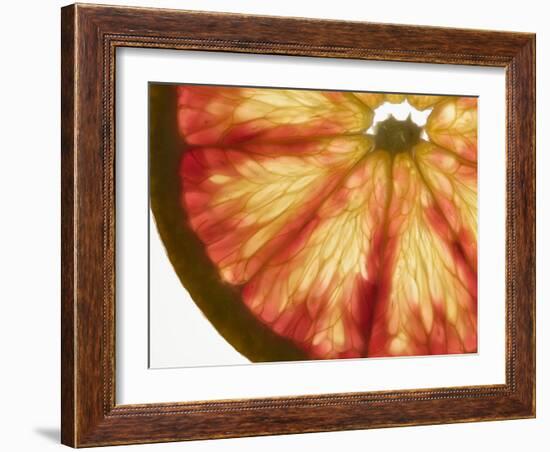 Slice of Grapefruit-null-Framed Photographic Print