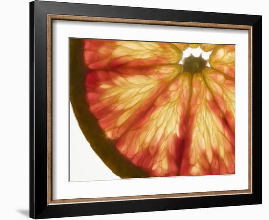 Slice of Grapefruit-null-Framed Photographic Print