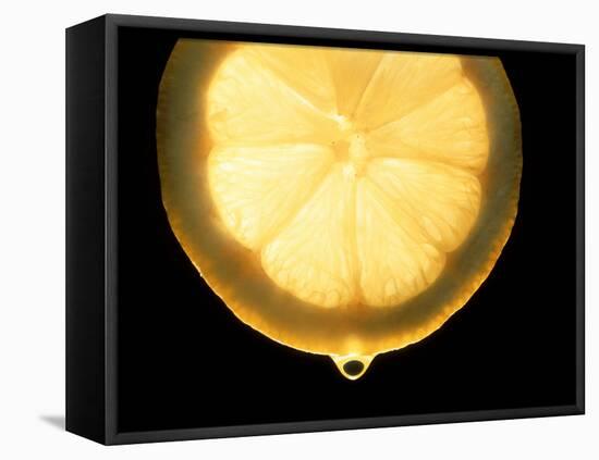 Slice of Lemon-Victor De Schwanberg-Framed Premier Image Canvas