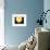 Slice of Lemon-Victor De Schwanberg-Framed Premium Photographic Print displayed on a wall