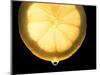 Slice of Lemon-Victor De Schwanberg-Mounted Premium Photographic Print