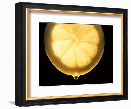 Slice of Lemon-Victor De Schwanberg-Framed Premium Photographic Print