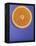 Slice of Orange-Gerrit Buntrock-Framed Premier Image Canvas