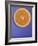 Slice of Orange-Gerrit Buntrock-Framed Photographic Print