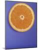 Slice of Orange-Gerrit Buntrock-Mounted Photographic Print