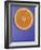 Slice of Orange-Gerrit Buntrock-Framed Photographic Print