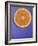 Slice of Orange-Gerrit Buntrock-Framed Photographic Print