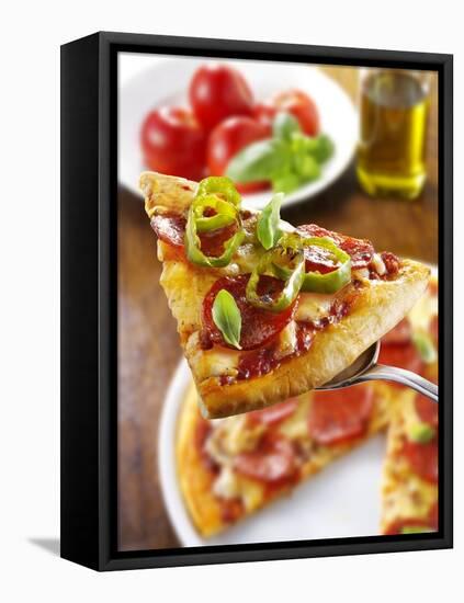 Slice of Pepperoni Pizza with Chilli Rings on Server-Paul Williams-Framed Premier Image Canvas