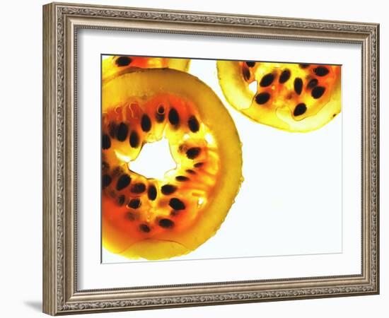 Sliced Passion Fruit-null-Framed Photographic Print