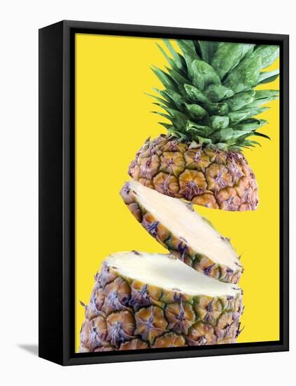 Sliced Pineapple-Victor Habbick-Framed Premier Image Canvas