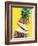 Sliced Pineapple-Victor Habbick-Framed Photographic Print