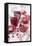 Sliced Pomegranates, Seeds and Glass with Pomegranate Juice-Jana Ihle-Framed Premier Image Canvas