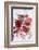 Sliced Pomegranates, Seeds and Glass with Pomegranate Juice-Jana Ihle-Framed Photographic Print