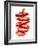 Sliced Red Peppers-Petr Gross-Framed Photographic Print