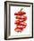 Sliced Red Peppers-Petr Gross-Framed Photographic Print