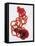 Slices of Red Bell Pepper-Wolfgang Usbeck-Framed Premier Image Canvas