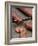 Slicing Chorizo-Winfried Heinze-Framed Photographic Print