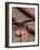 Slicing Chorizo-Winfried Heinze-Framed Photographic Print