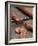 Slicing Chorizo-Winfried Heinze-Framed Photographic Print