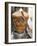 Slicing Doner Kebab-null-Framed Photographic Print