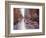 Slick (NYC)-Pam Ingalls-Framed Giclee Print