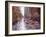 Slick (NYC)-Pam Ingalls-Framed Giclee Print