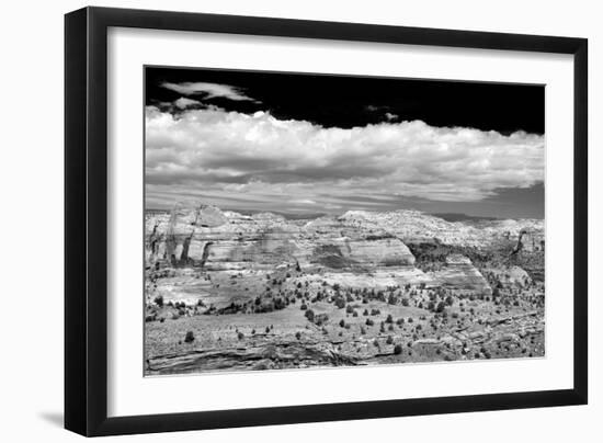 Slick Rock County BW-Douglas Taylor-Framed Photo