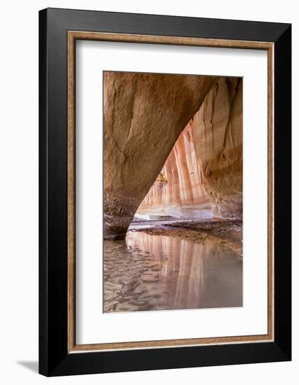 Slide Arch in Paria Canyon, Vermillion Cliffs Wilderness, Utah-Howie Garber-Framed Premium Photographic Print