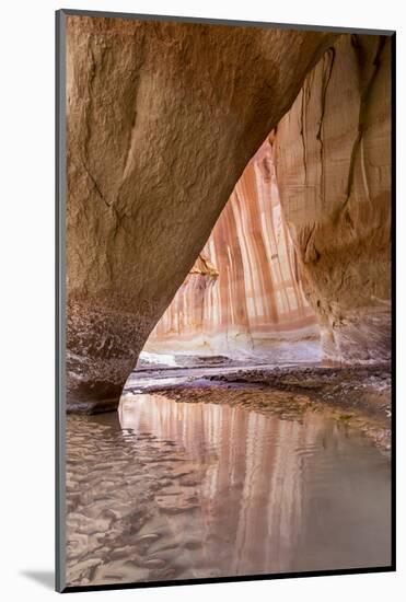 Slide Arch in Paria Canyon, Vermillion Cliffs Wilderness, Utah-Howie Garber-Mounted Photographic Print