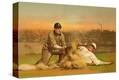 Stretched Canvas Print