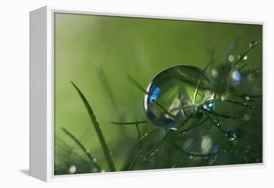 Slightly Blue-Heidi Westum-Framed Premier Image Canvas