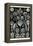 Slime Molds-Ernst Haeckel-Framed Stretched Canvas